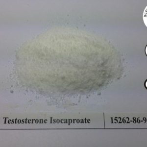 Buy Testosterone Isocaproate powder